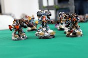 Space Wolves Space Marines