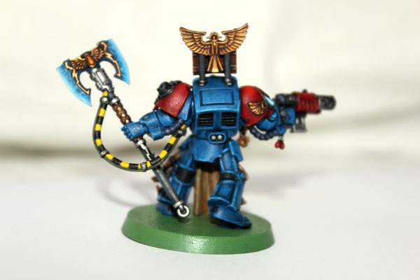 A glance from the back...